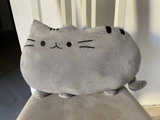 Peluche pusheen
