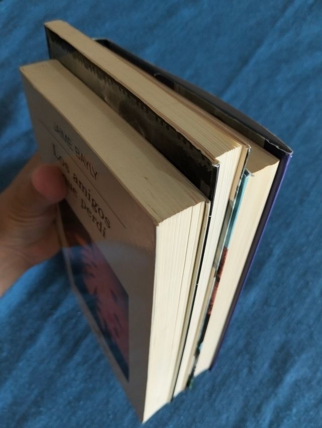 Lote de Jaime Bayly.