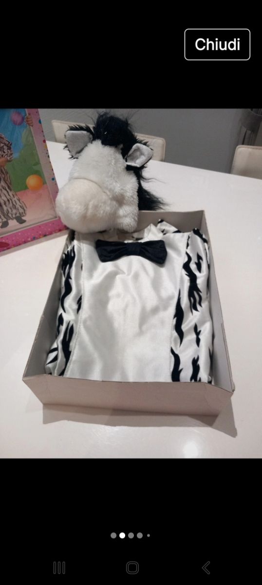 Costume  carnevale zebra