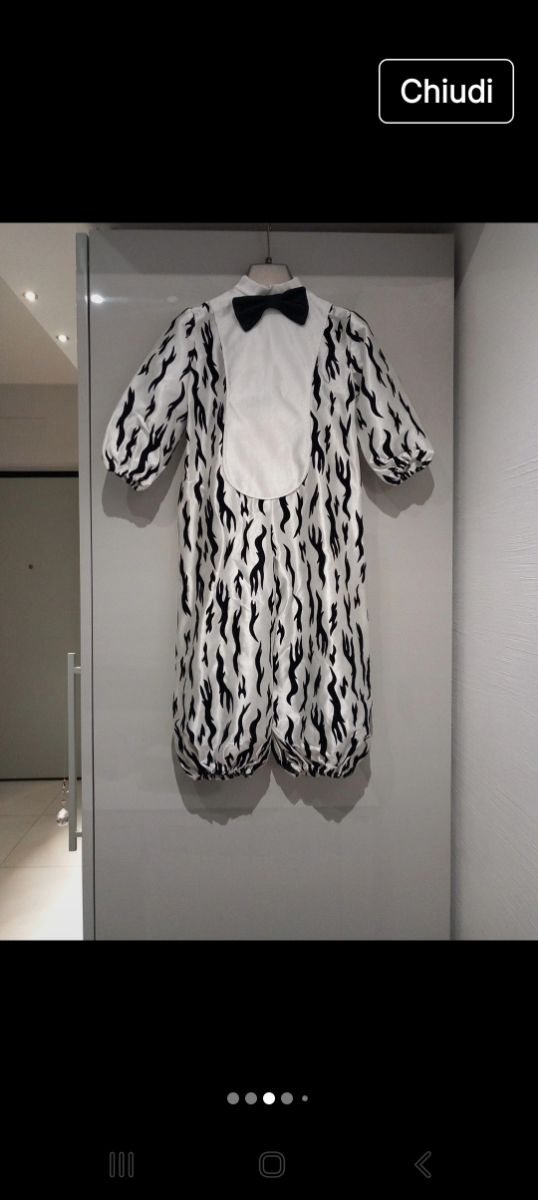 Costume  carnevale zebra