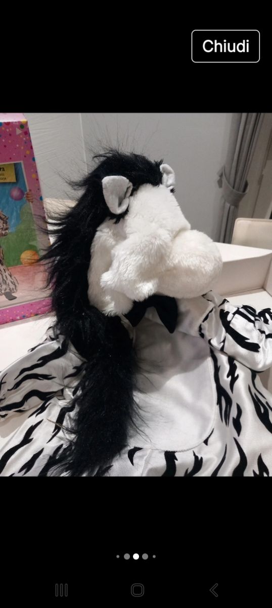 Costume  carnevale zebra