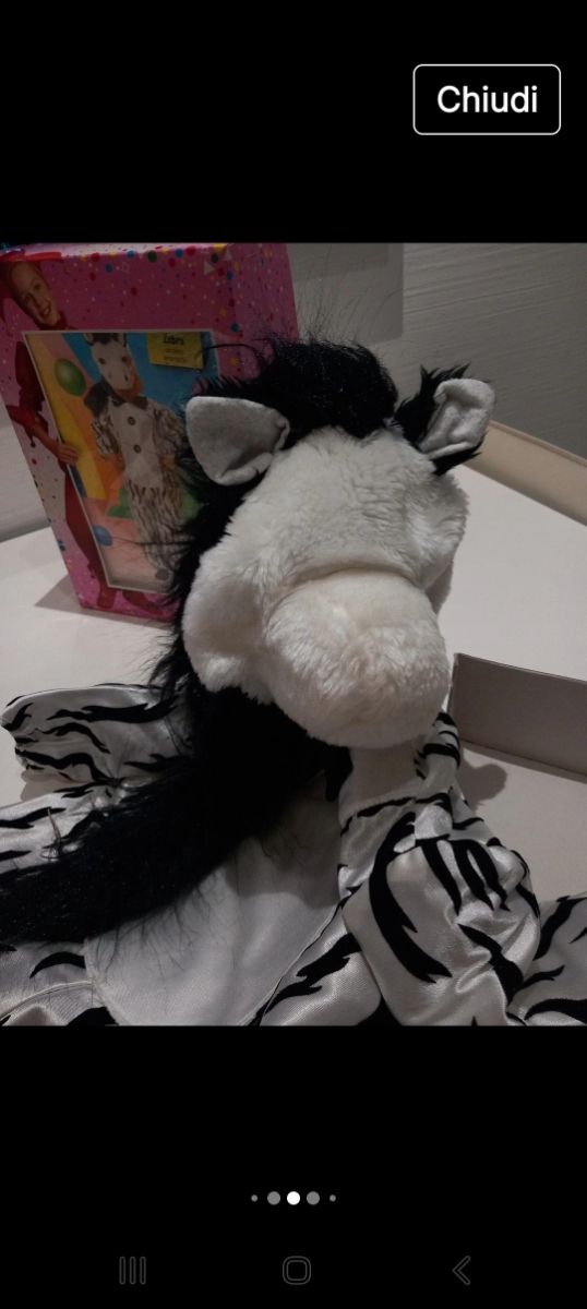 Costume  carnevale zebra
