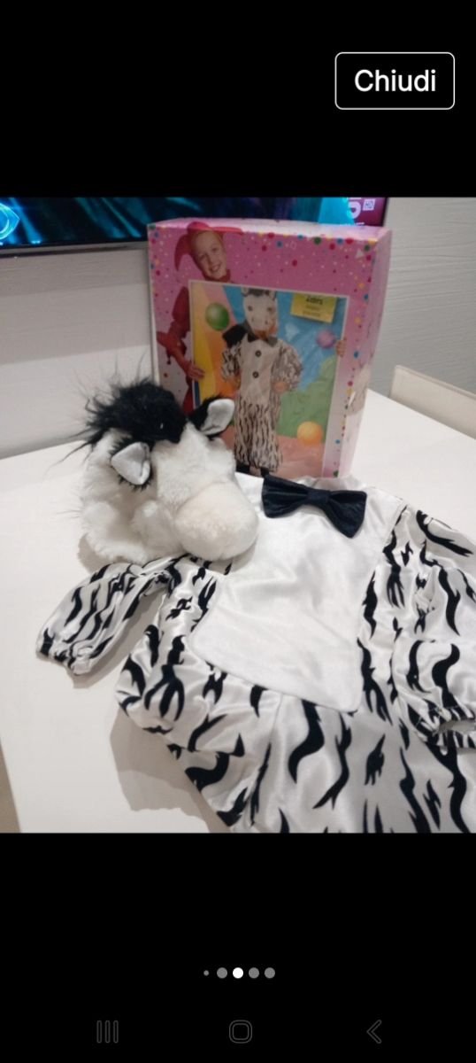 Costume  carnevale zebra