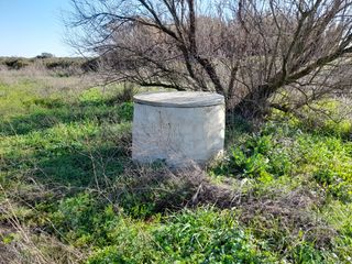 Vendo o  cambio finca en Almonte