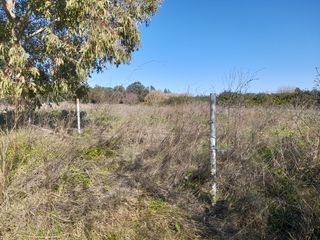 Vendo o  cambio finca en Almonte