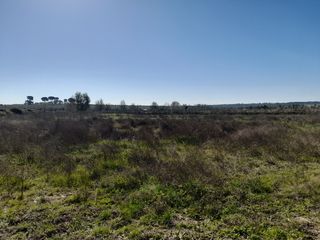 Vendo o  cambio finca en Almonte