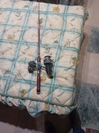 Cañas 