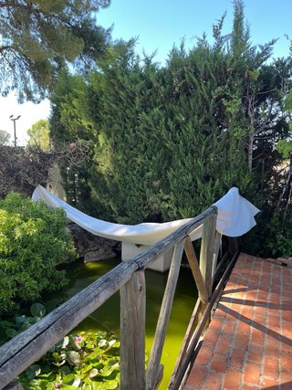 Desbroces,Mudanzas,y Pintura en general.
