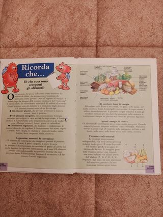 Libro didattico bambini corpo umano