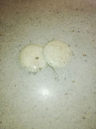 Balanza de dos platos