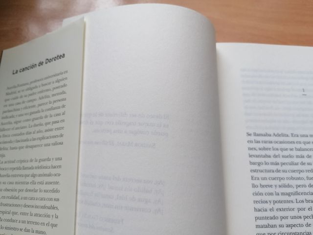 Libro La canción de Dorotea de Rosa Regas