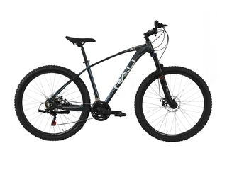 Bicicleta Rali A-Uno (29′′) disco mecanico 2025