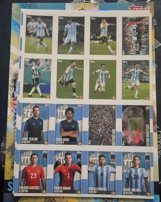Album argentina 2024 sticker topps