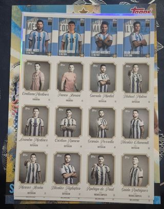 Album argentina 2024 sticker topps
