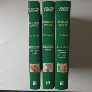 Anatomía humana 