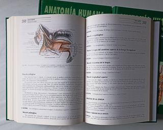 Anatomía humana 