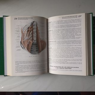 Anatomía humana 