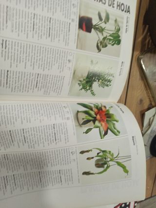 Libro de plantas