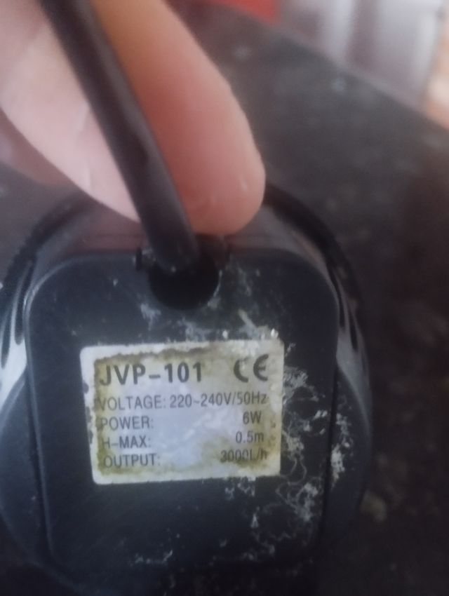 Bomba recirculación de agua 