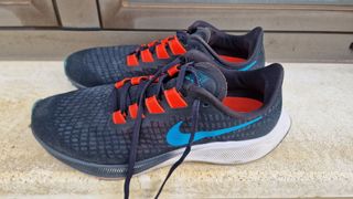 Zapatillas nike pegasus 37