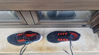Zapatillas nike pegasus 37