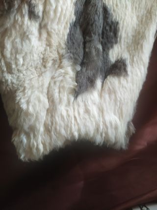 Cazadora de piel y cuero