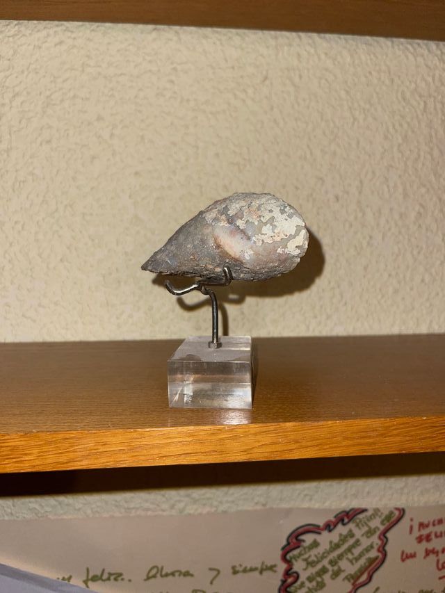 Geoda de cuarzo decorativa en soporte acrílico