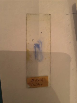 Muestras microscopio antiguas