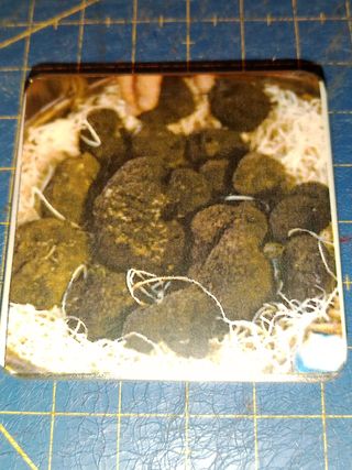 Iman de nevera trufa.