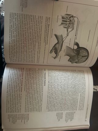 Psicologia generale. Ediz. Mylab