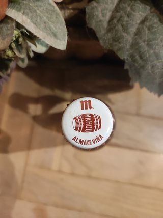 Botella Mahou Almayso de Viña