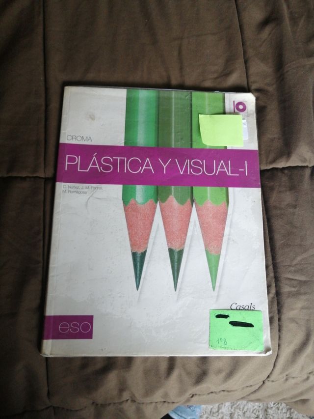 Plástica y Visual-I ESO (2011)