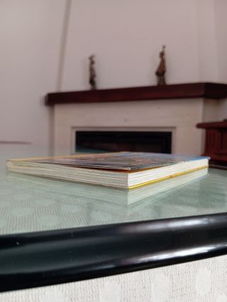 El tesoro de las Colinas Negras: Geronimo Stilton 
