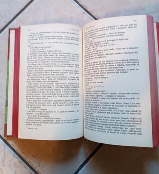 Il corsaro nero