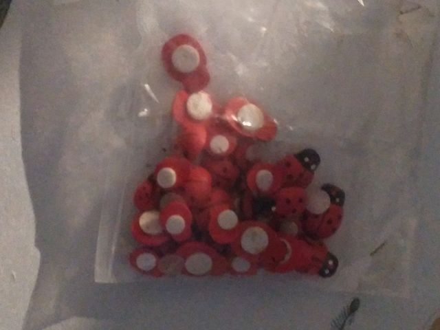 Coccinelle decorative