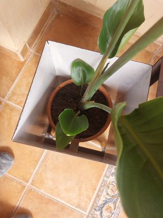 Macetero hierro,diseño