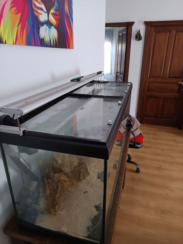 Acuario de 236l completo