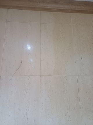 Limpieza y pintura