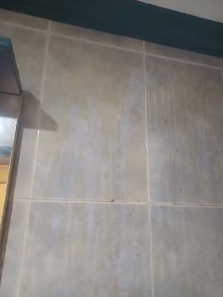 Limpieza y pintura