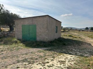 Caseta y terreno. Almacen. casa de campo.