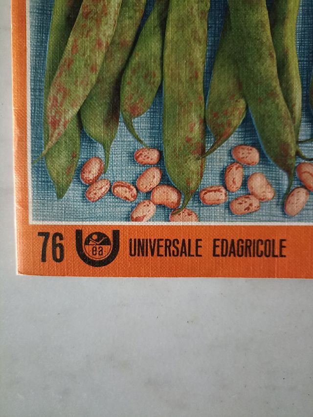 Fagioli e fagiolini per l'industria