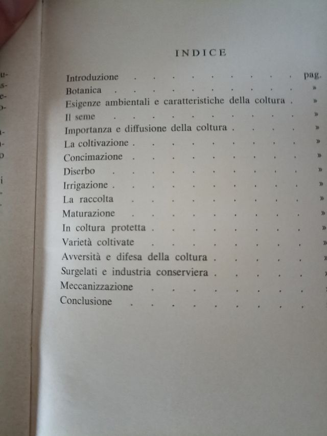 Fagioli e fagiolini per l'industria