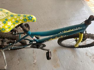 Bicicleta niña 20’