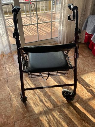 Andador anciano 