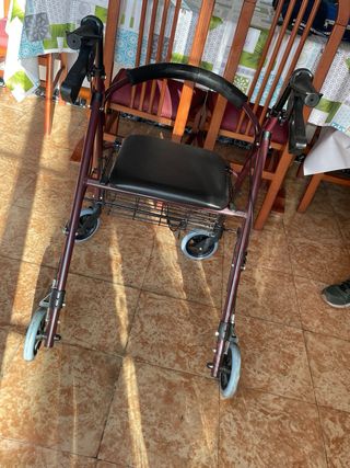 Andador anciano 