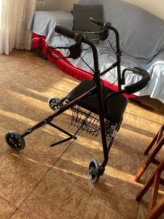 Andador anciano 