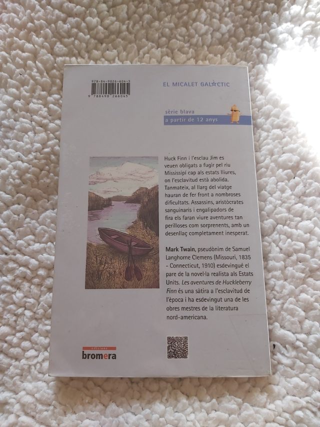 Les aventures de Huckleberry Finn