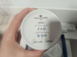 Serviço de criança da Vista Alegre