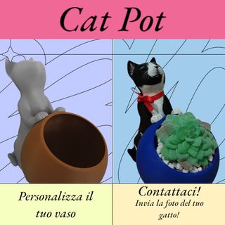Cat Pot(personalizzabile)Il prezzo a partire da..