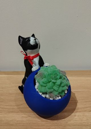 Cat Pot(personalizzabile)Il prezzo a partire da..